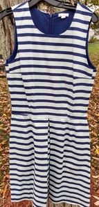 Gap designed and crafted 4 tall blue striped dress